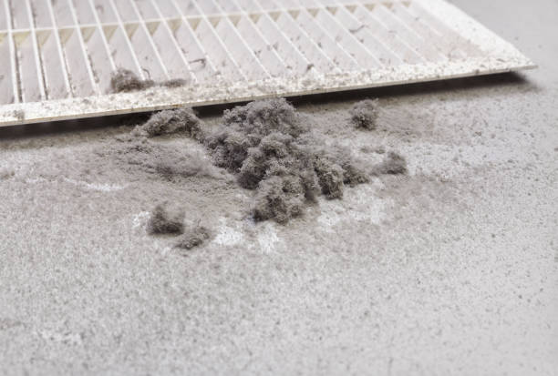 Best Air Duct Cleaning Near Me  in Warrior, AL