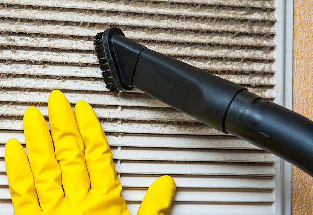 Best HVAC System Cleaning  in Warrior, AL