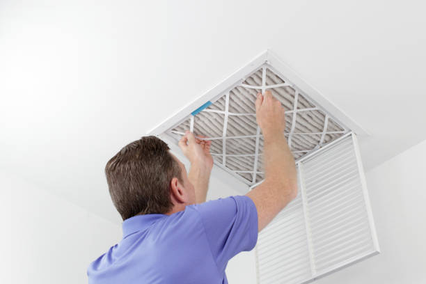 Best Home Air Vent Cleaning  in Warrior, AL